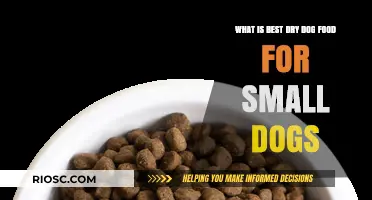 Top Picks for Tiny Tummies: The Best Dry Dog Food for Small Breeds