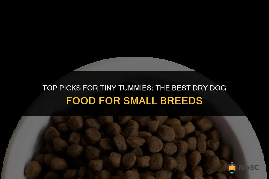 what is best dry dog food for small dogs
