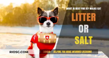 Cat Litter vs. Salt: Which is Best for Safe and Eco-Friendly Icy Walks?