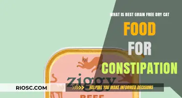 Top Grain-Free Dry Cat Food Options to Alleviate Constipation in Your Feline Friend