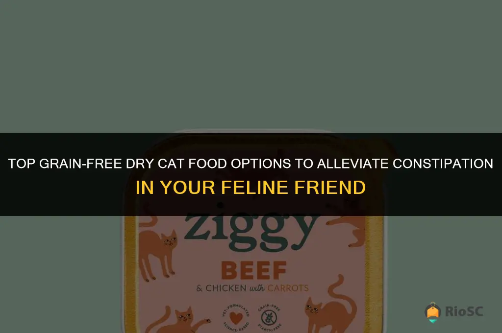what is best grain free dry cat food for constipation
