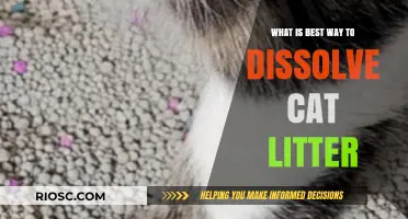 Effective Methods to Dissolve Cat Litter: A Comprehensive Guide for Pet Owners