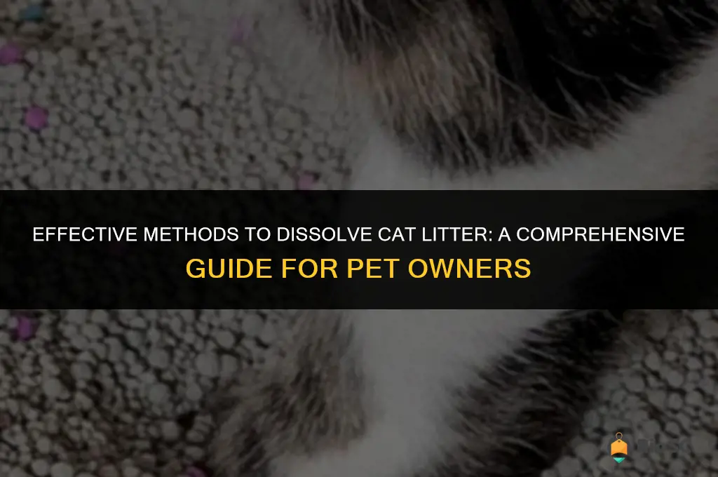 what is best way to dissolve cat litter