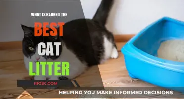 Top-Rated Cat Litter: Discover the Best Option for Your Feline Friend