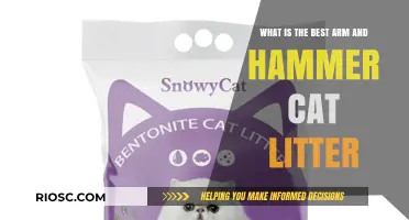 The Ultimate Guide to Choosing the Best Arm & Hammer Cat Litter for Your Feline Friend