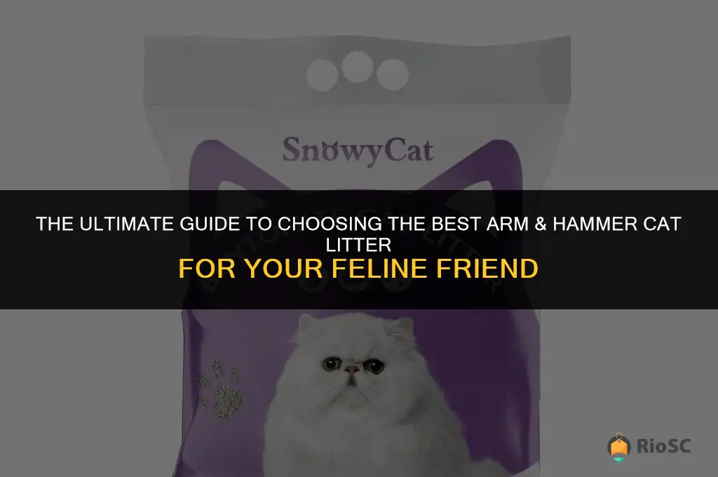 what is the best arm and hammer cat litter