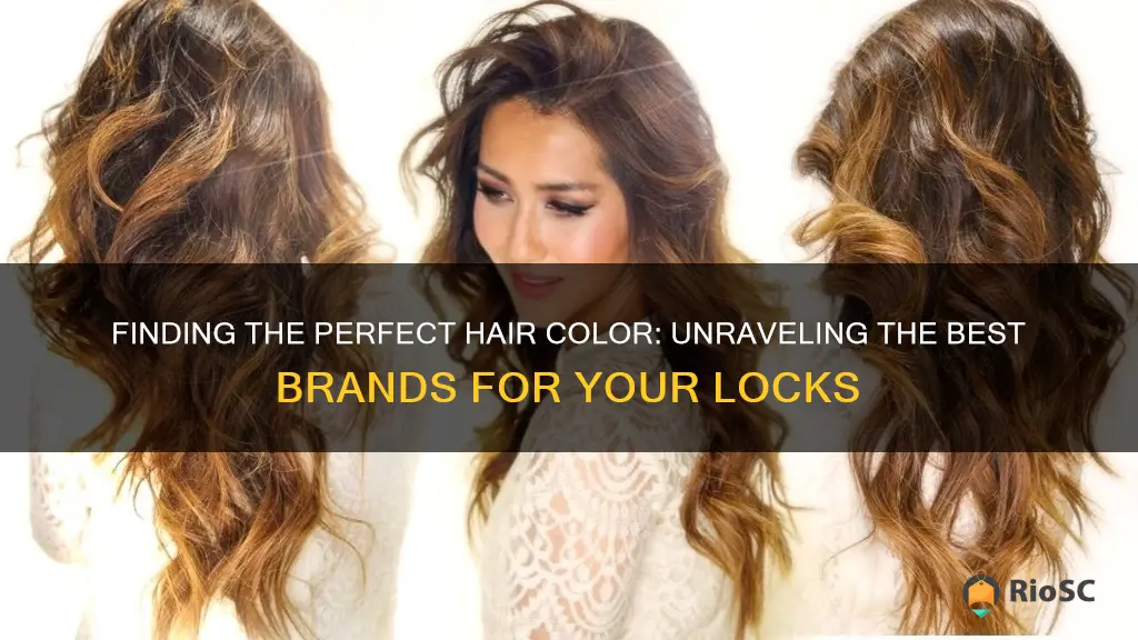 what is the best brand of hair oclor