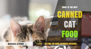 Top Picks for Your Feline Friend: The Best Canned Cat Foods of 2024