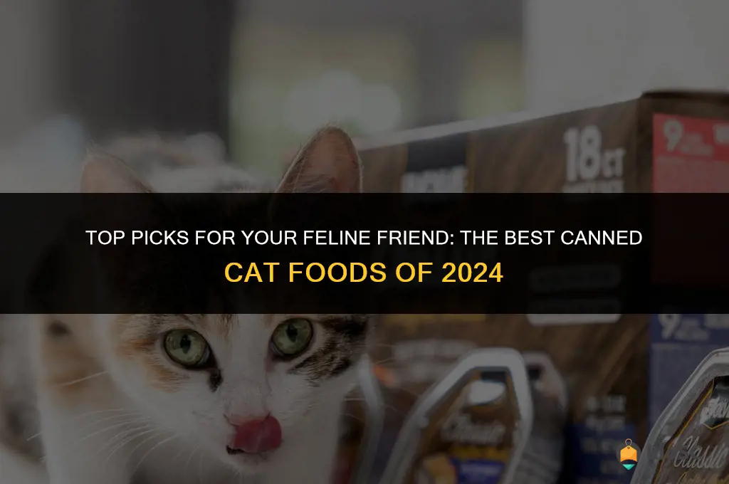 what is the best canned cat food