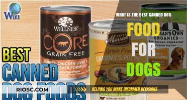 Top Picks for Your Pooch: The Best Canned Dog Foods of 2024