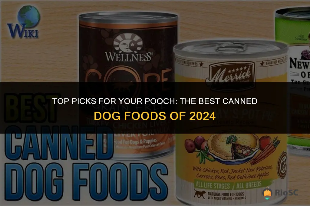 what is the best canned dog food for dogs