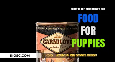 Top-Rated Canned Dog Food Options for Healthy and Happy Puppies