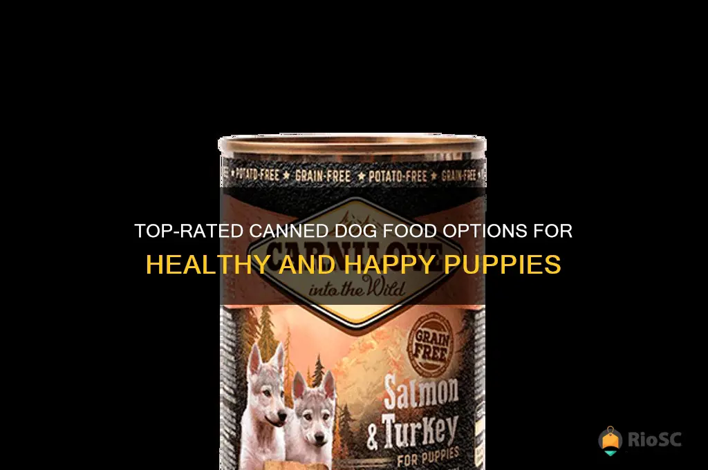 what is the best canned dog food for puppies