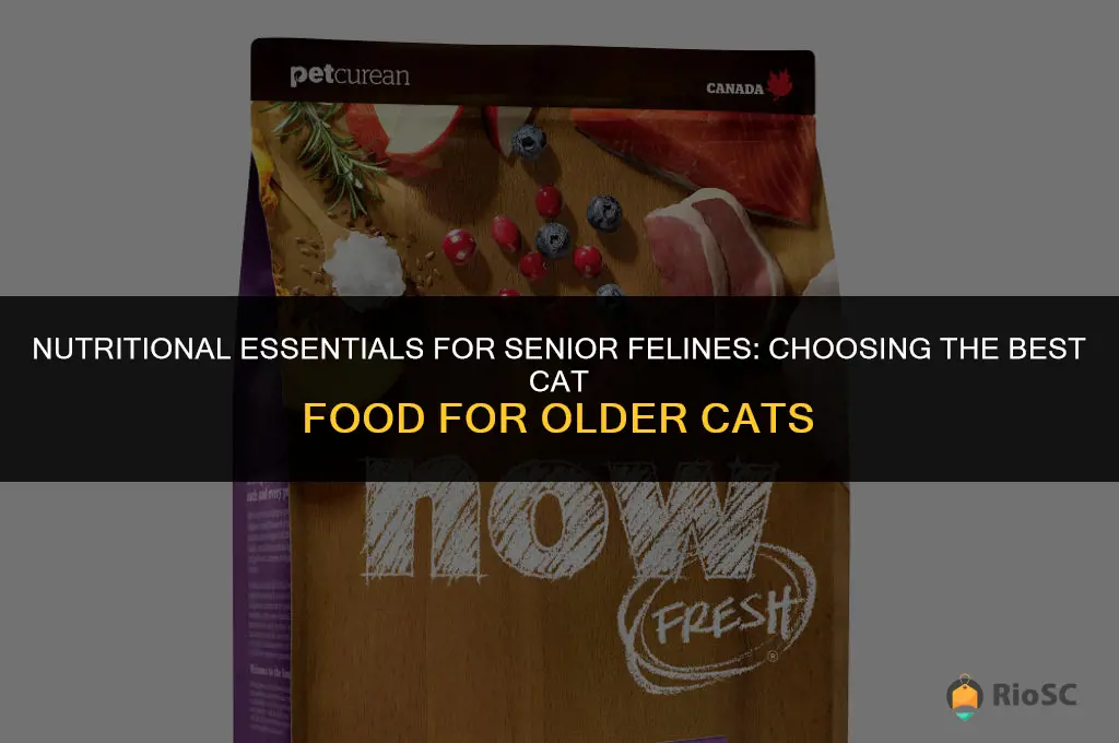 what is the best cat food for older cats
