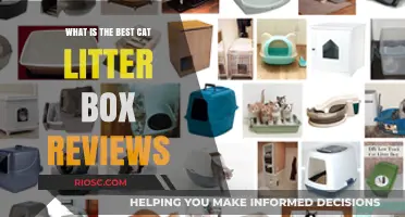 Top-Rated Cat Litter Boxes: Expert Reviews and Recommendations for the Best Options