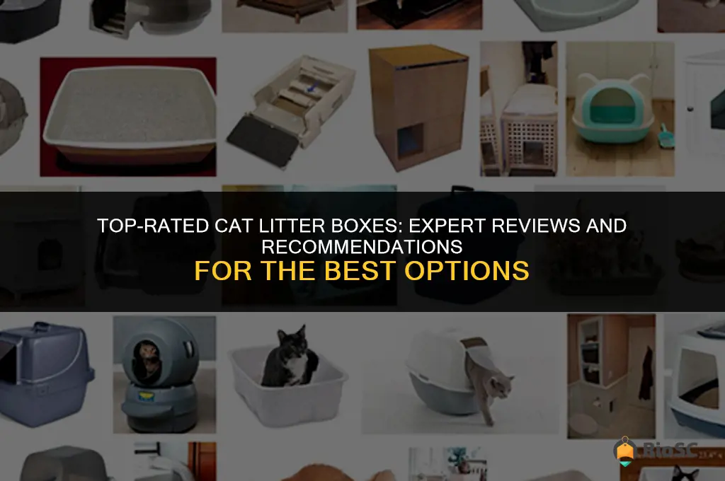 what is the best cat litter box reviews