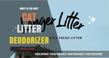 Top Cat Litter Deodorizers: Eliminate Odors and Keep Your Home Fresh