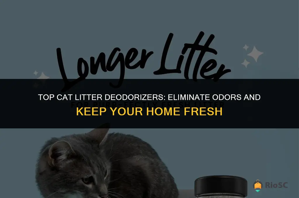 what is the best cat litter deodorizer