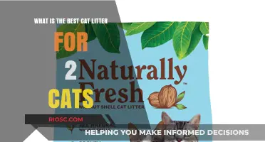 Top Cat Litter Picks for Multi-Cat Homes: Finding the Best Option for Two Cats