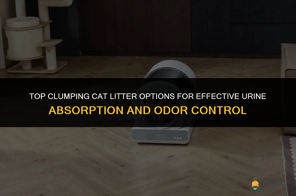 what is the best cat litter for clumping the urine