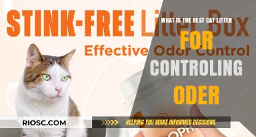 Top Odor-Controlling Cat Litter Options: A Comprehensive Guide to Keeping Your Home Fresh