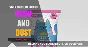Top Cat Litter Picks for Maximum Odor Control and Minimal Dust: A Comprehensive Guide