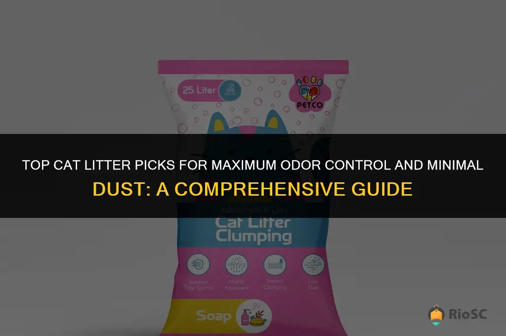 what is the best cat litter for odor and dust
