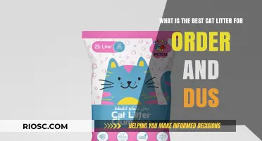 Top Cat Litter Picks for Odor Control and Dust Reduction: A Comprehensive Guide