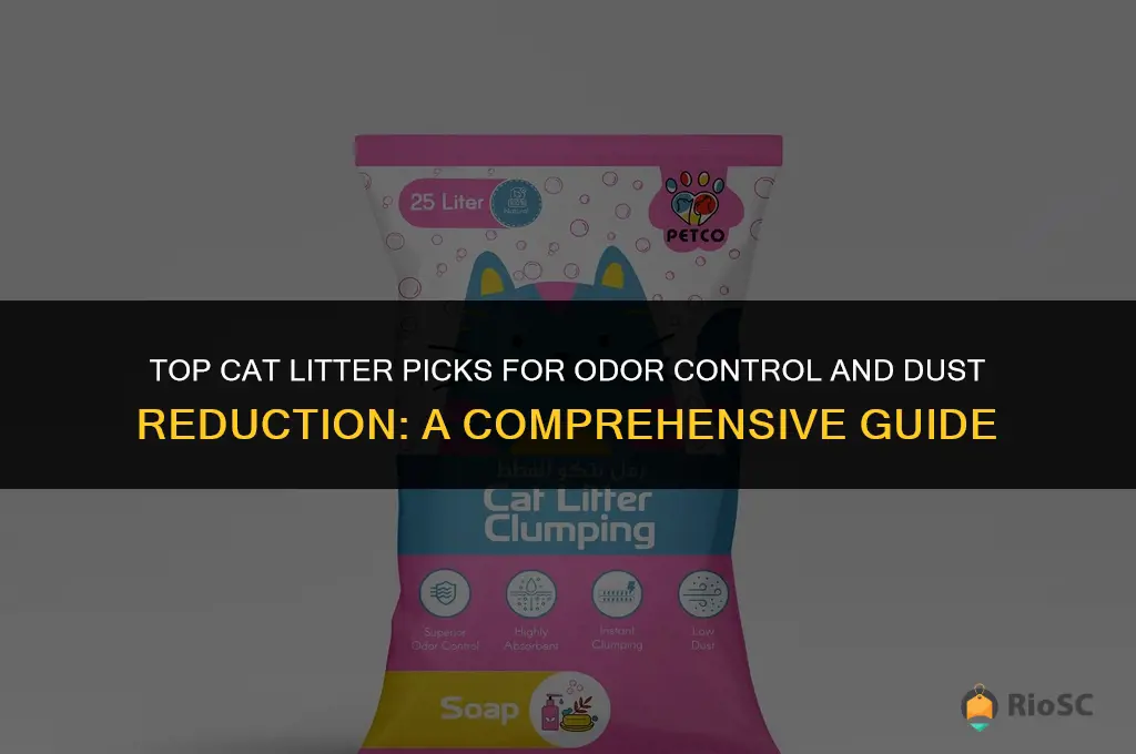 what is the best cat litter for order and dus