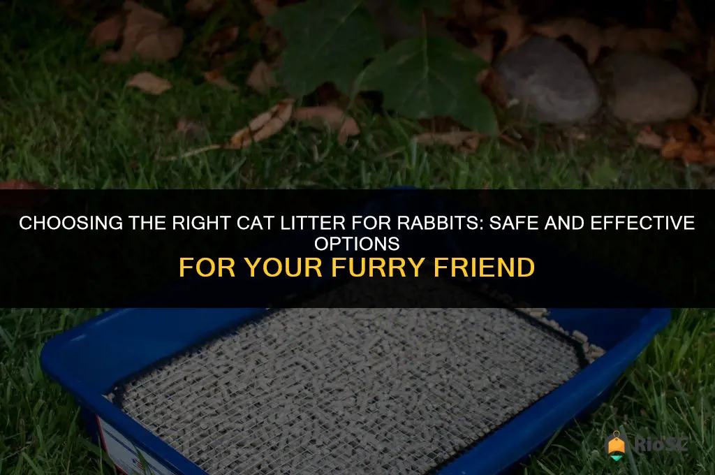 what is the best cat litter for rabbits