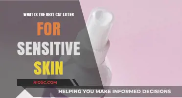 Gentle Paws: Finding the Best Cat Litter for Sensitive Skin
