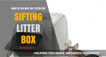 Top Picks for Sifting Litter Boxes: The Best Cat Litter Options for Easy Maintenance