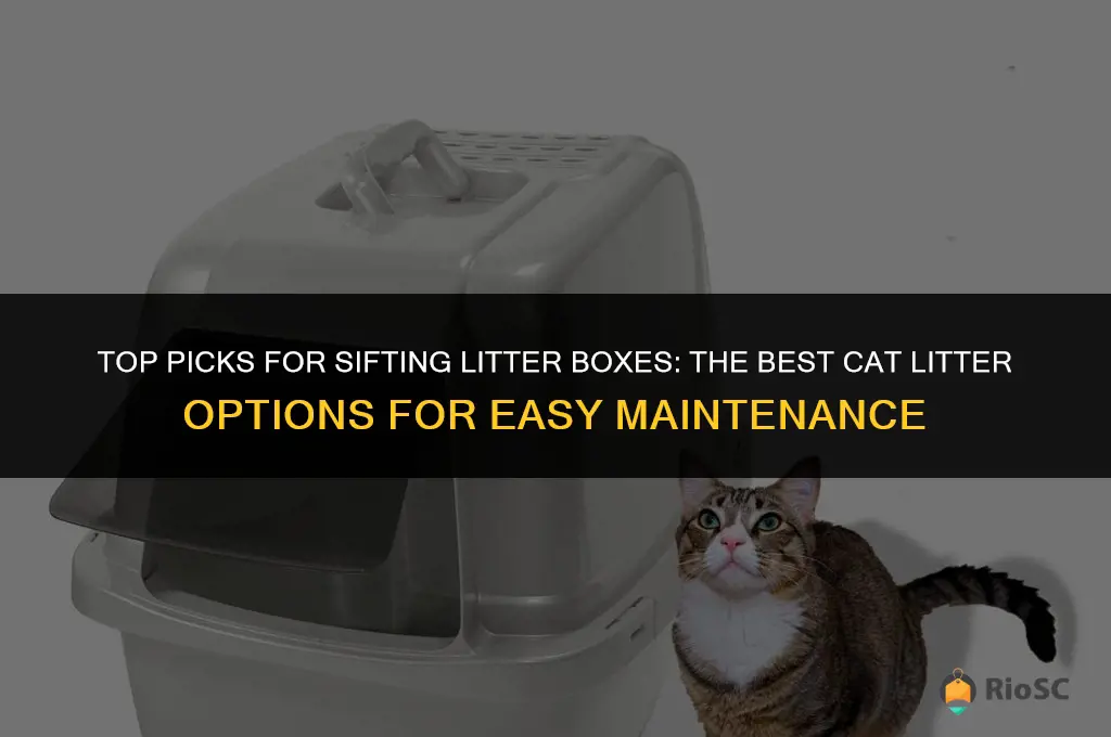 what is the best cat litter for sifting litter box