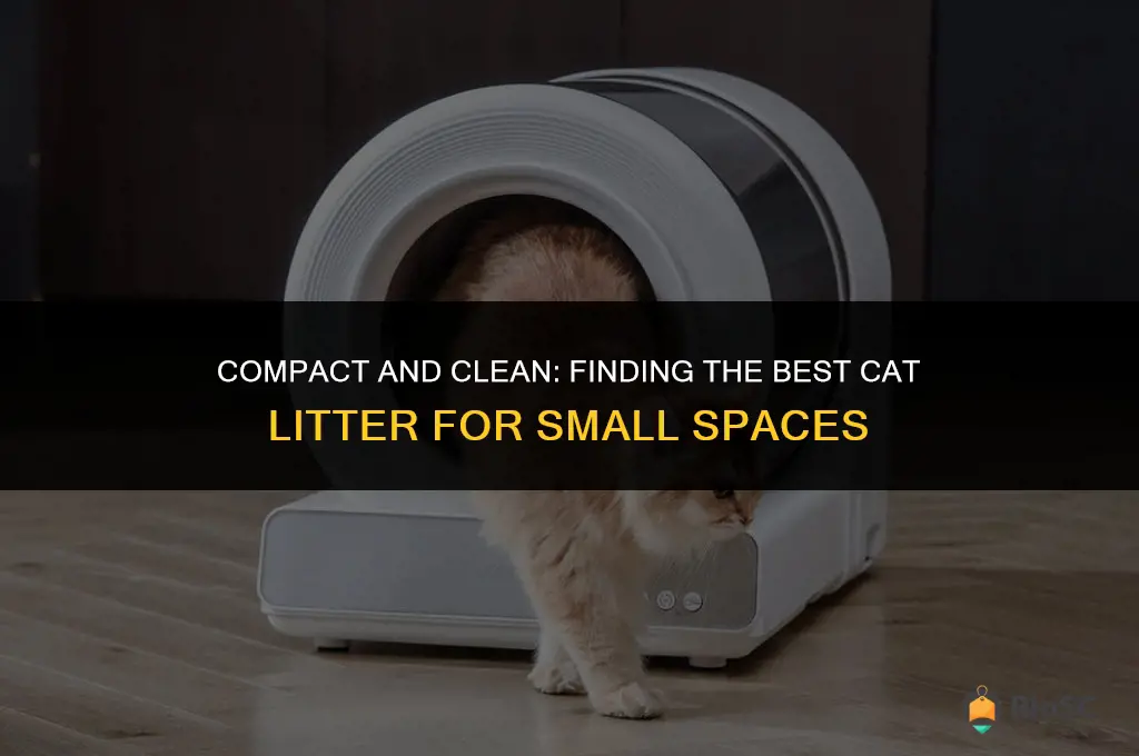 what is the best cat litter for small spaces