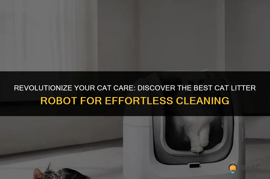 what is the best cat litter robot