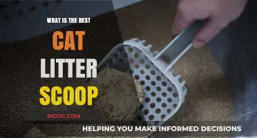 The Ultimate Guide to Choosing the Best Cat Litter Scoop for Effortless Cleaning