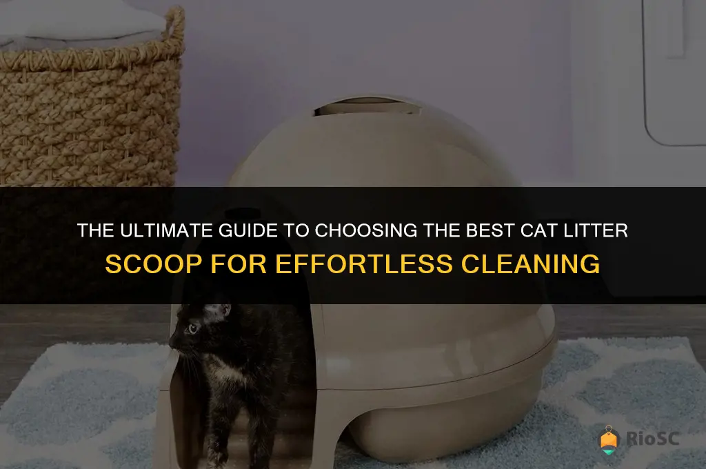what is the best cat litter scoop