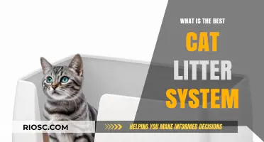 The Ultimate Guide to Choosing the Best Cat Litter System for Your Feline Friend