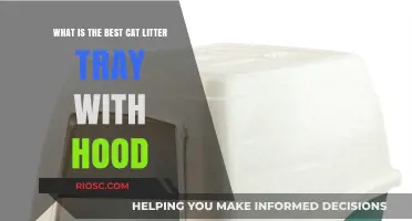 Top Picks for Hooded Cat Litter Trays: Finding the Best Option for Your Feline Friend