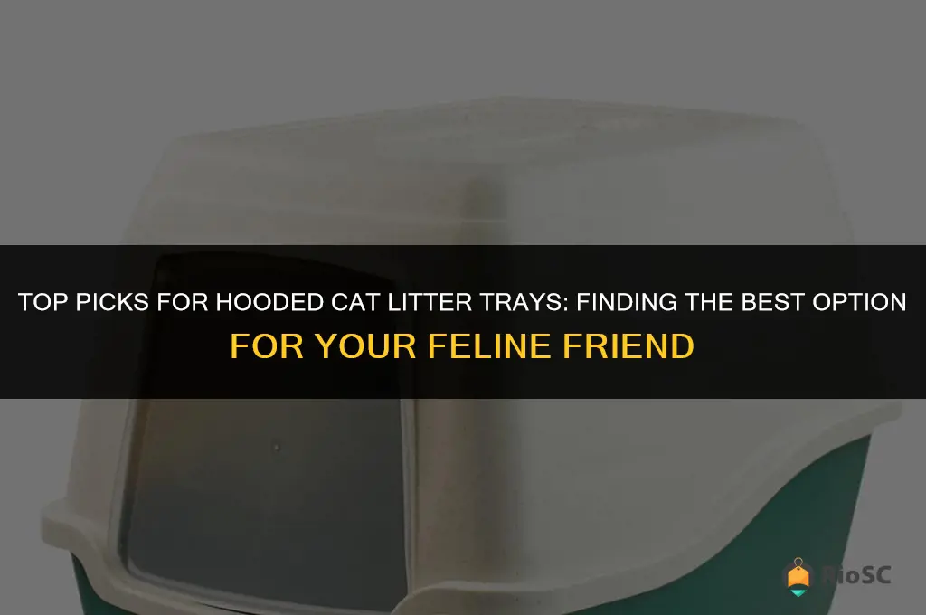 what is the best cat litter tray with hood