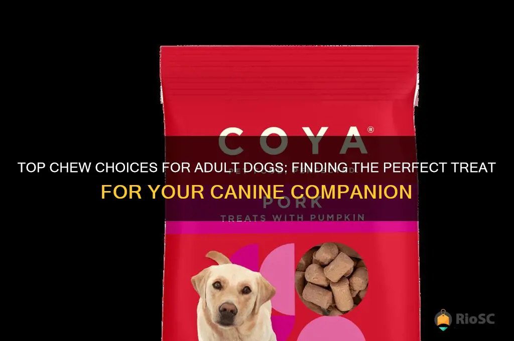 what is the best chew for a adult dog