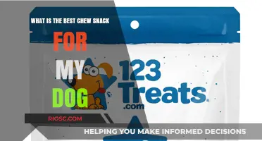 Top Dog-Approved Chew Snacks: Finding the Perfect Treat for Your Canine Companion
