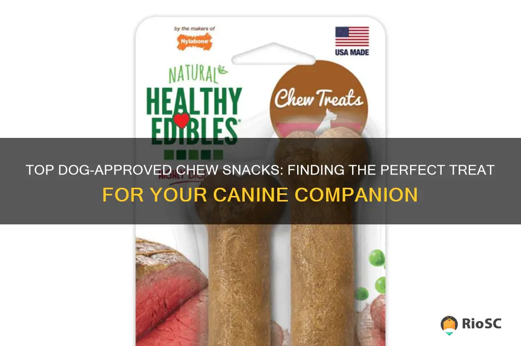 what is the best chew snack for my dog