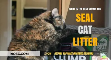 The Ultimate Guide to Choosing the Best Clump and Seal Cat Litter for Odor Control and Easy Cleanup