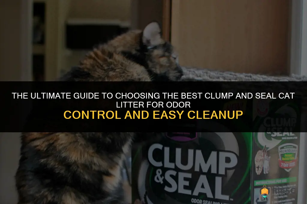 what is the best clump and seal cat litter