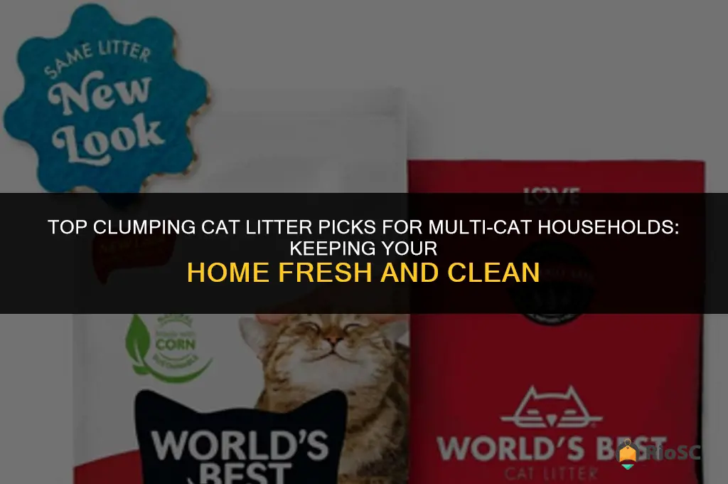 what is the best clumping cat litter for multiple cats