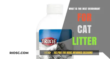 Top Deodorant Solutions for Eliminating Cat Litter Odors: A Comprehensive Guide