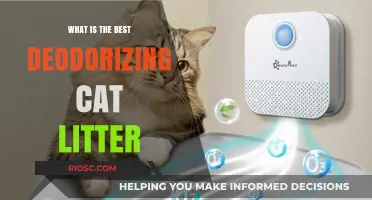 Top Picks for Odor-Free Homes: Discover the Best Deodorizing Cat Litter Options