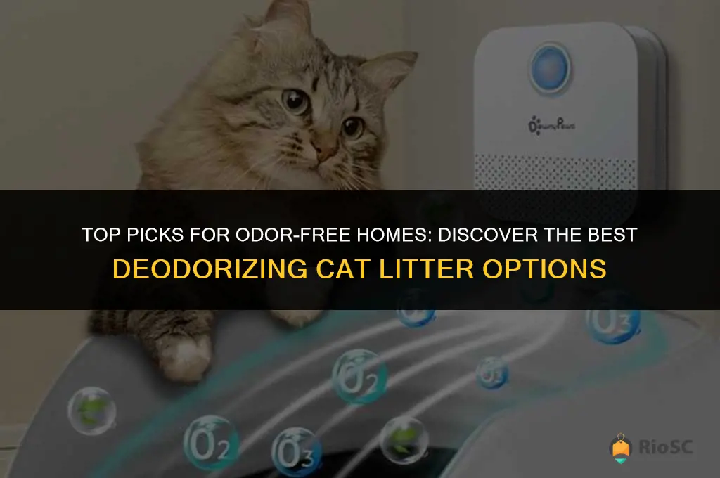 what is the best deodorizing cat litter