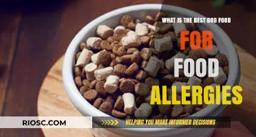 Navigating Canine Food Allergies: A Guide to the Best Hypoallergenic Dog Food Options